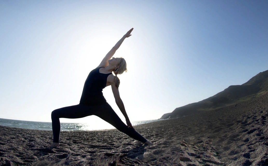Meditation to Joy - Tree of Life Centre