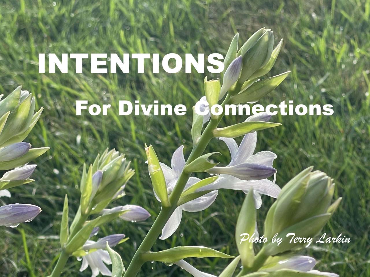4 Keys to Strengthen Divine Connection 4 Keys to Strengthen Divine Connection