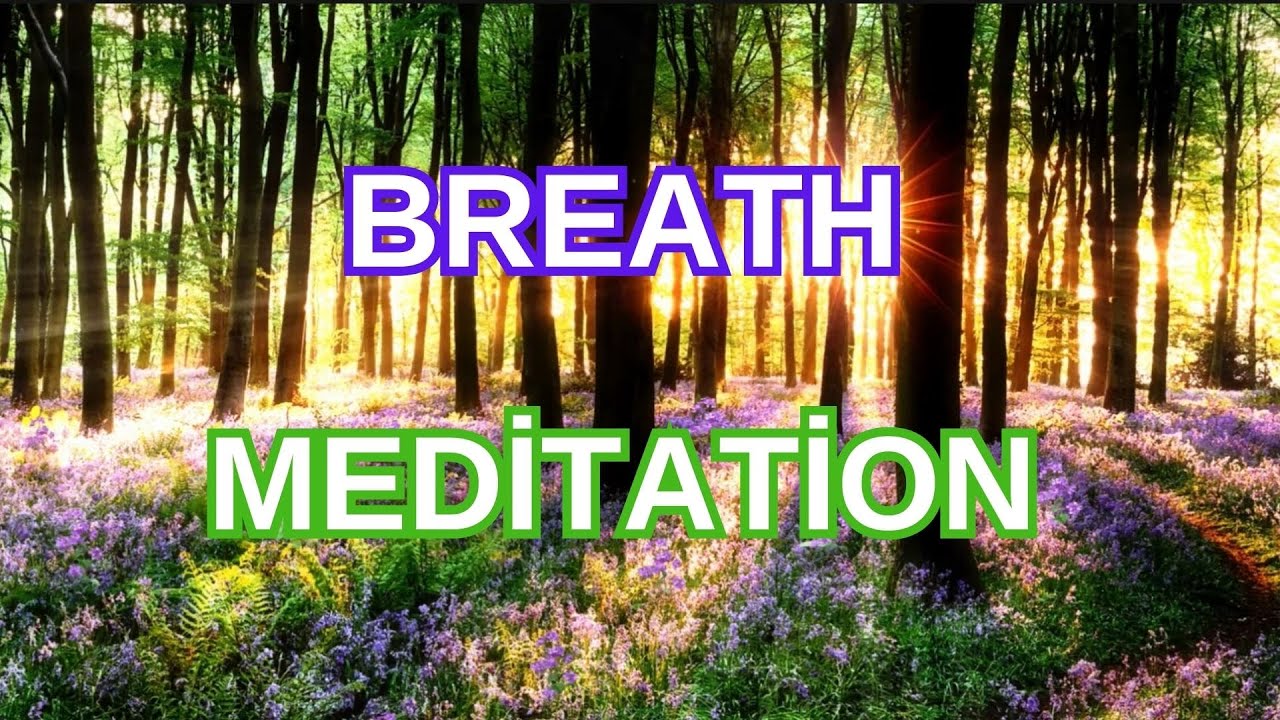 Mindfulness Meditation Breathing Exercises - YouTube